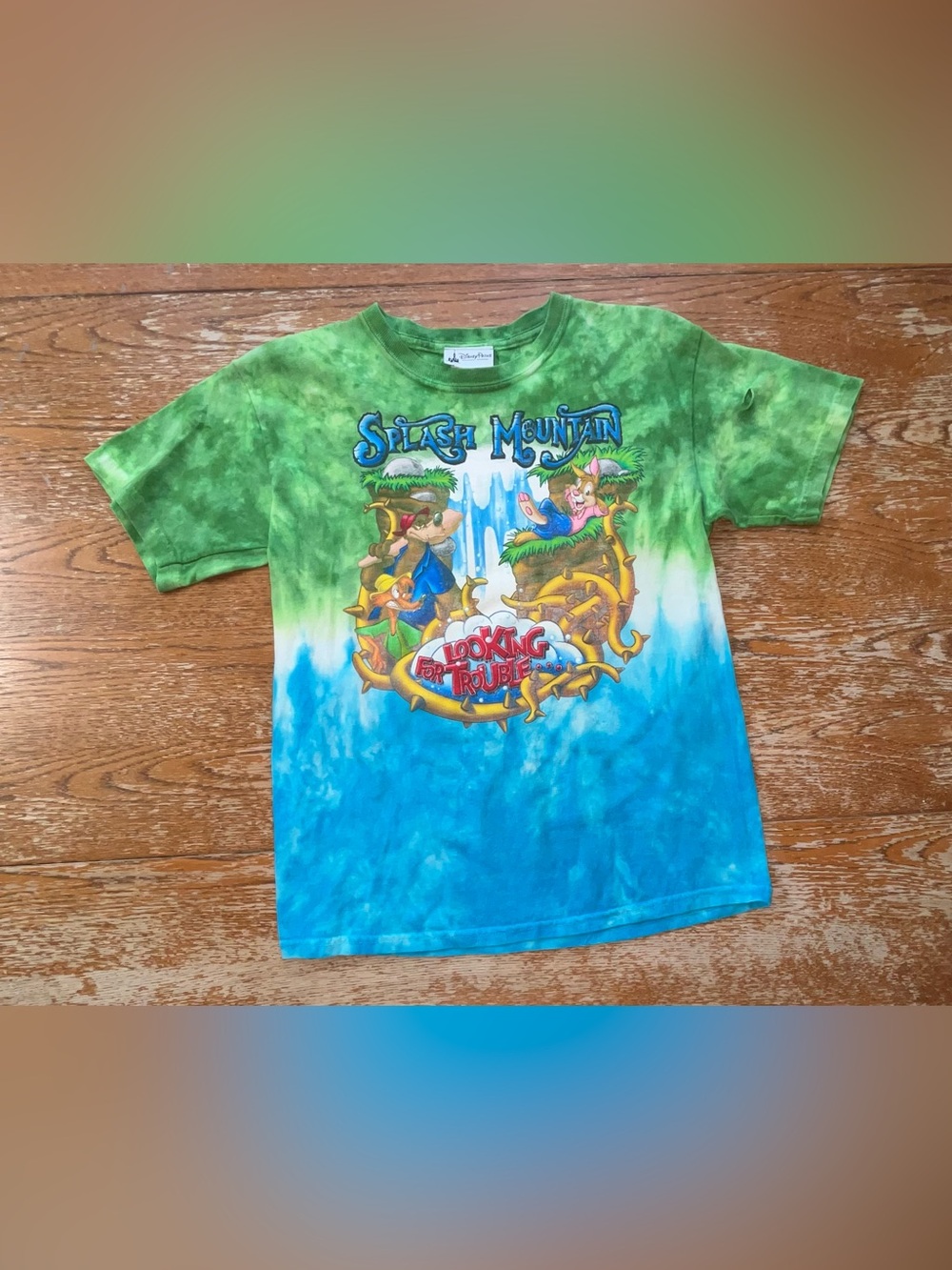 Retired Ride Disney Splash Mountain Looking For Trouble Size Youth Medium